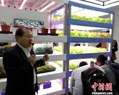福建光電巨頭“跨界”打造植物工廠 從培育星光到滋養(yǎng)青綠